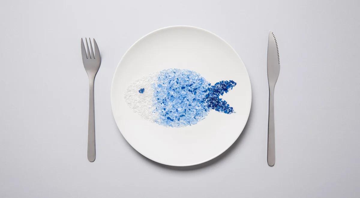 Jak walczyć z zanieczyszczeniem środowiska przez plastik?