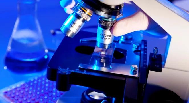 Bioinformatyka, czyli pasja profesora z werwą