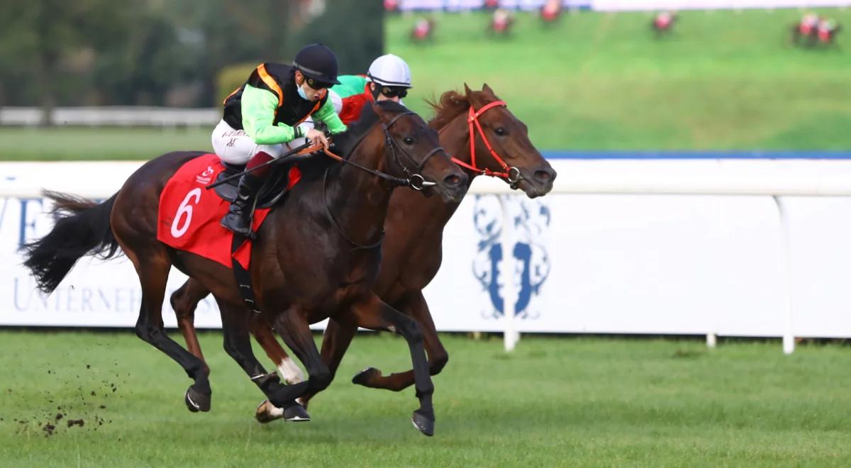 Cicha Wielka Warszawska - posłuchaj reportażu