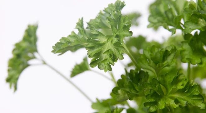 Sok bazyliowy i winko pietruszkowe, czyli przepisy ze straganu