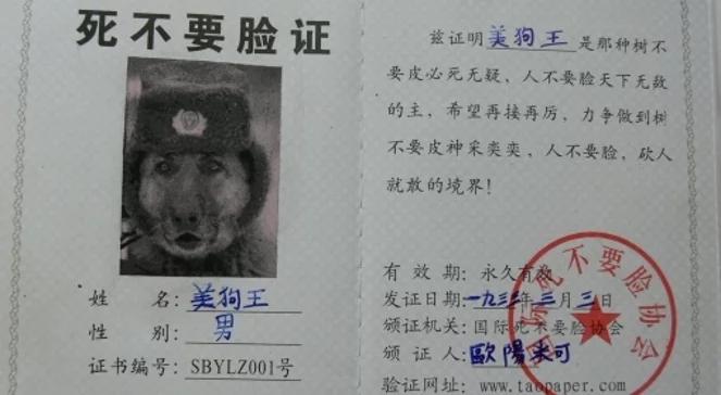 Brzdęki, krzyki, dziwne języki 