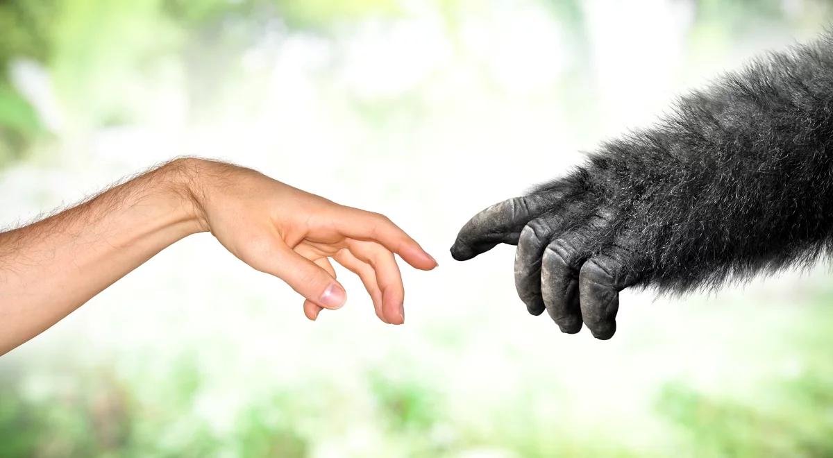 Jak ewoluuje człowiek?