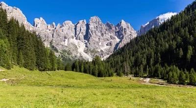 Las w Dolomitach, w którym bywał Antonio Stradivari