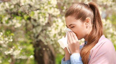 Alergolożka w Trójce: żeby się przygotować na atak alergii, warto śledzić kalendarze pylenia