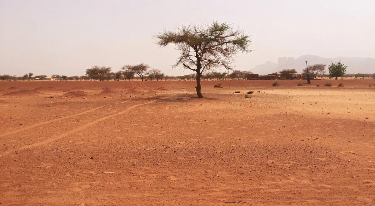 Pustynia zamiast jeziora Faguibine. Kolejny dramat Malijczyków