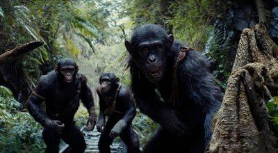 Gociek i Adamski o filmowym uniwersum "Planety małp"