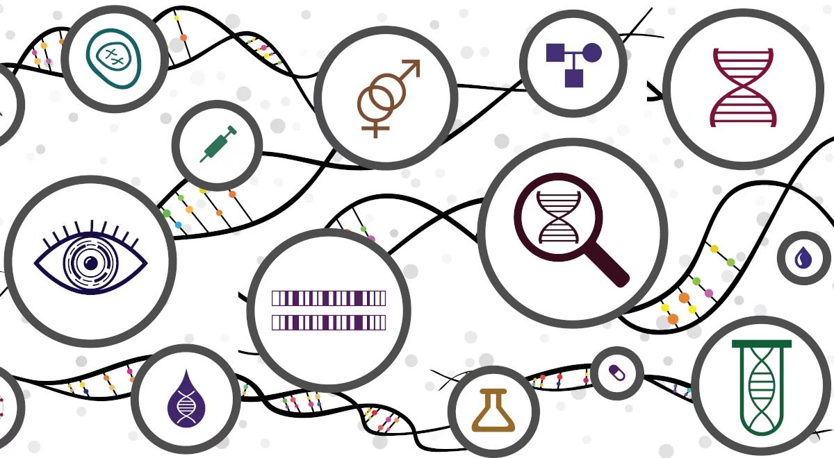 Nasze Genomy: piegowaty, łysiejący blondyn? Musi, że to Polak!