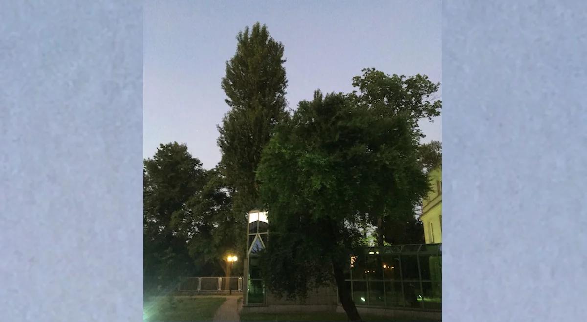 Letnie przesilenie na Scenie Teatralnej Trójki