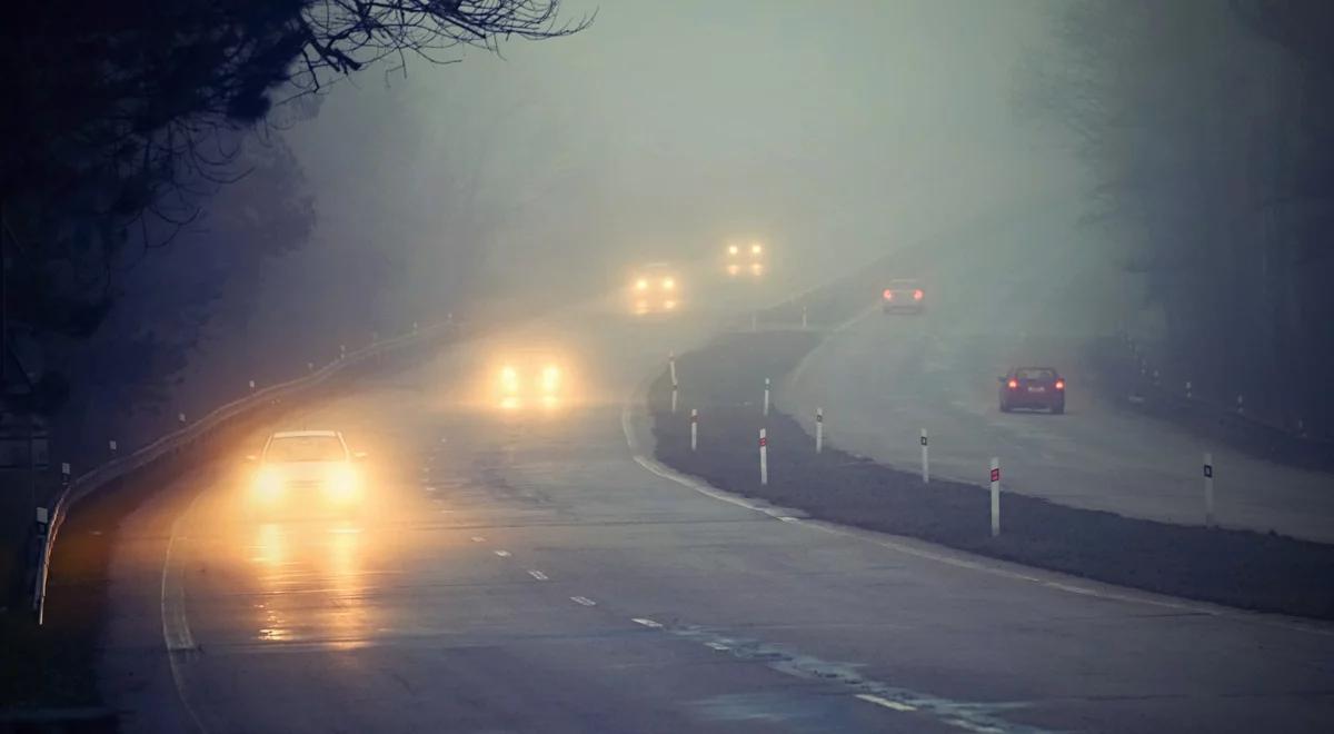 Światła dzienne, przeciwmgielne – wiesz, jak ich używać jesienią?