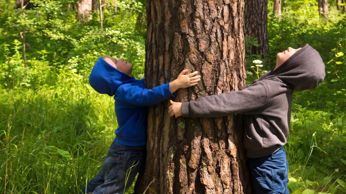 Przyroda dobra dla zdrowia psychicznego dzieci? "Badanie wykazało nowy kierunek"