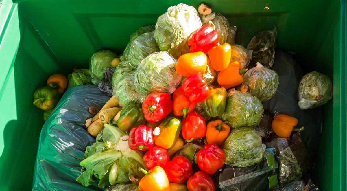 Czy musimy marnować żywność?