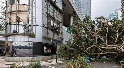 Chiny: bilans ofiar śmiertelnych tajfunu Hato wzrósł do 16