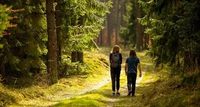 Las i odgłosy natury lekiem dla osób zmagających się z hazardem