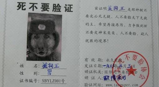 Brzdęki i krzyki z Azji, Europy i Ameryki [13.11.2010]