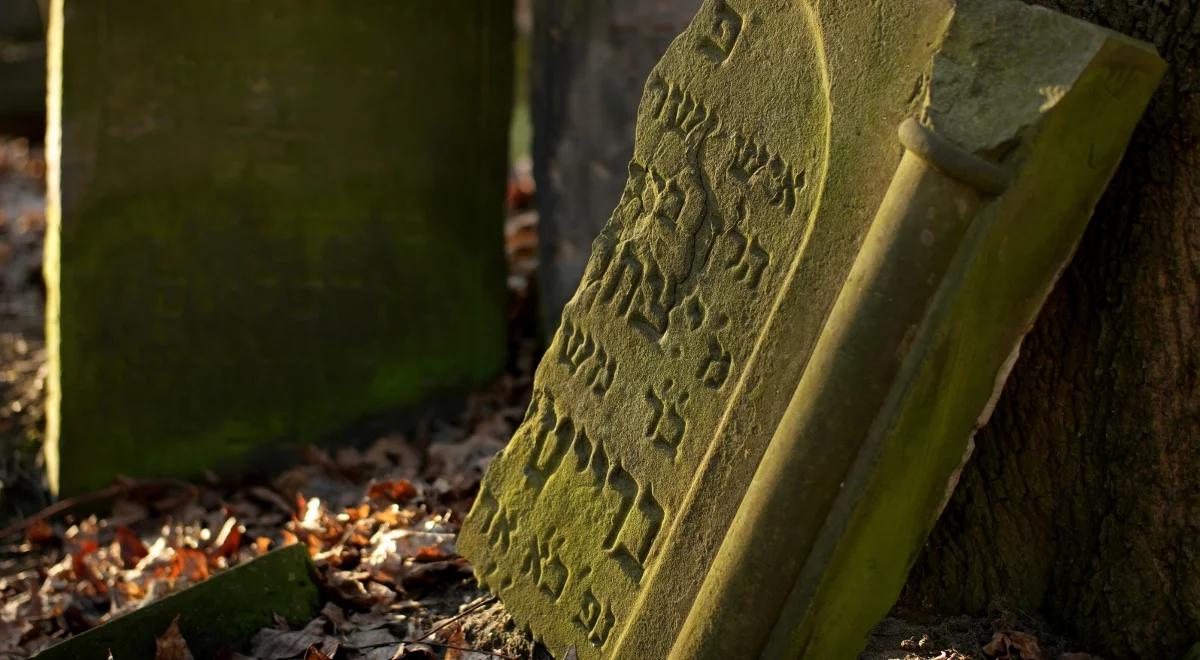 Tragiczna przeszłość pięknej Rusałki