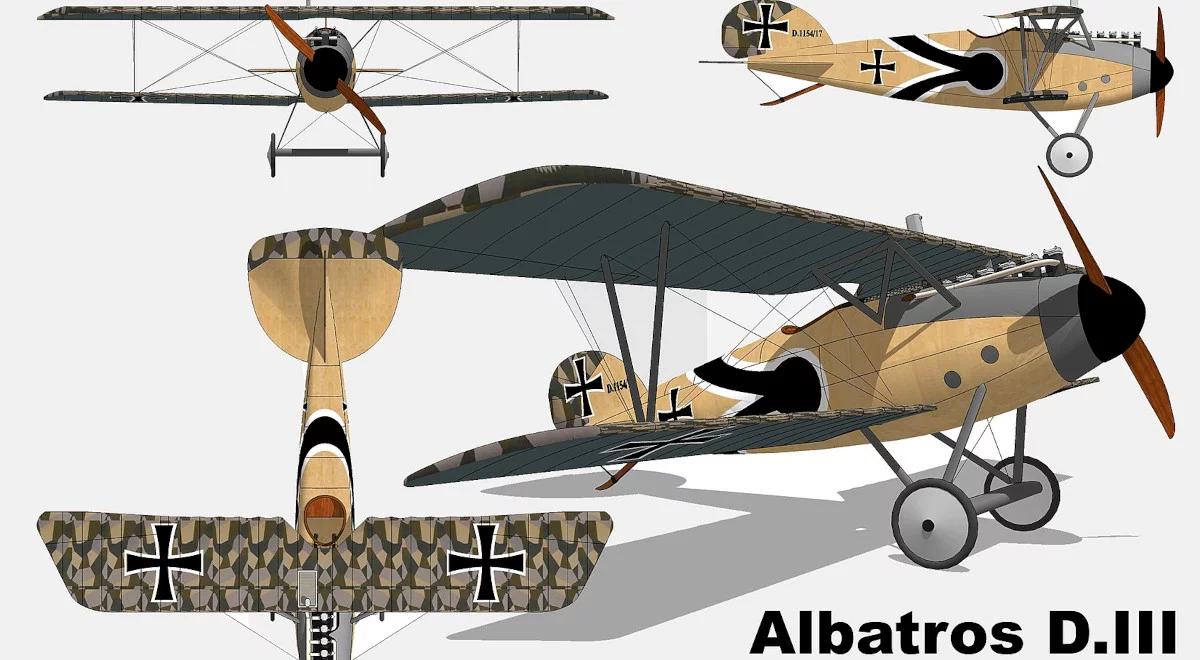 Albatrosy znowu na polskim niebie