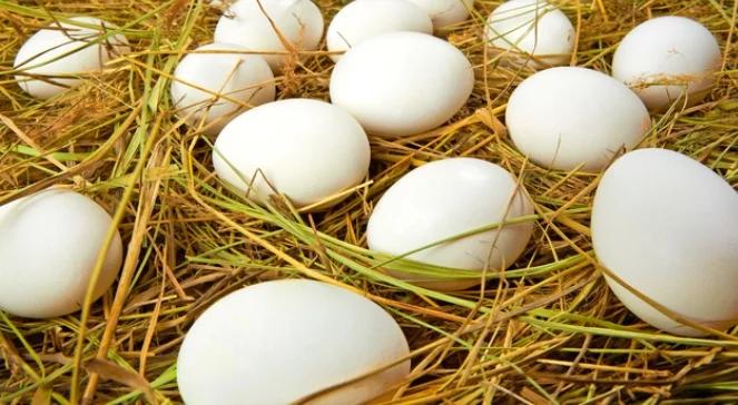 Wielkanoc to czas jaj - to one wiodą prym, reszta to rzecz gustu 