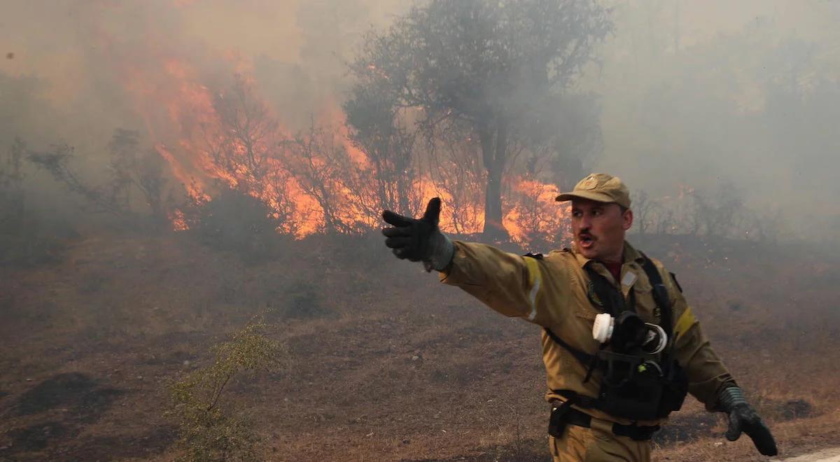 Wysokie temperatury i susza - wyjątkowo wczesny sezon pożarowy w Grecji