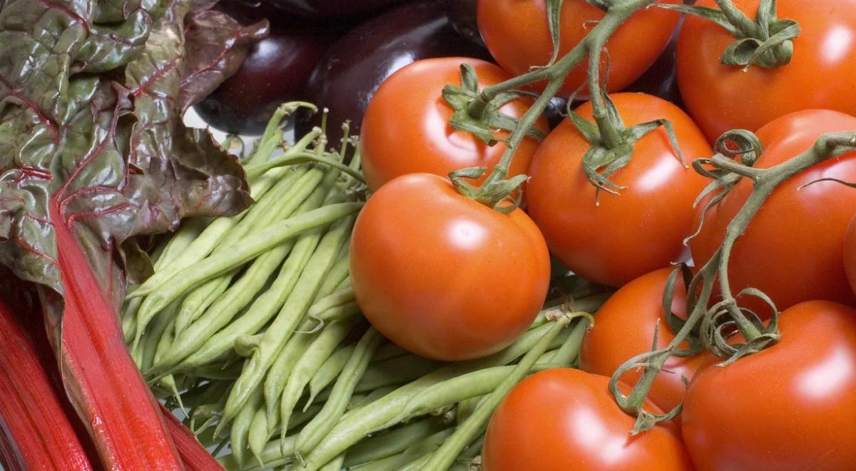 Niespodzianki w nowej piramidzie żywienia