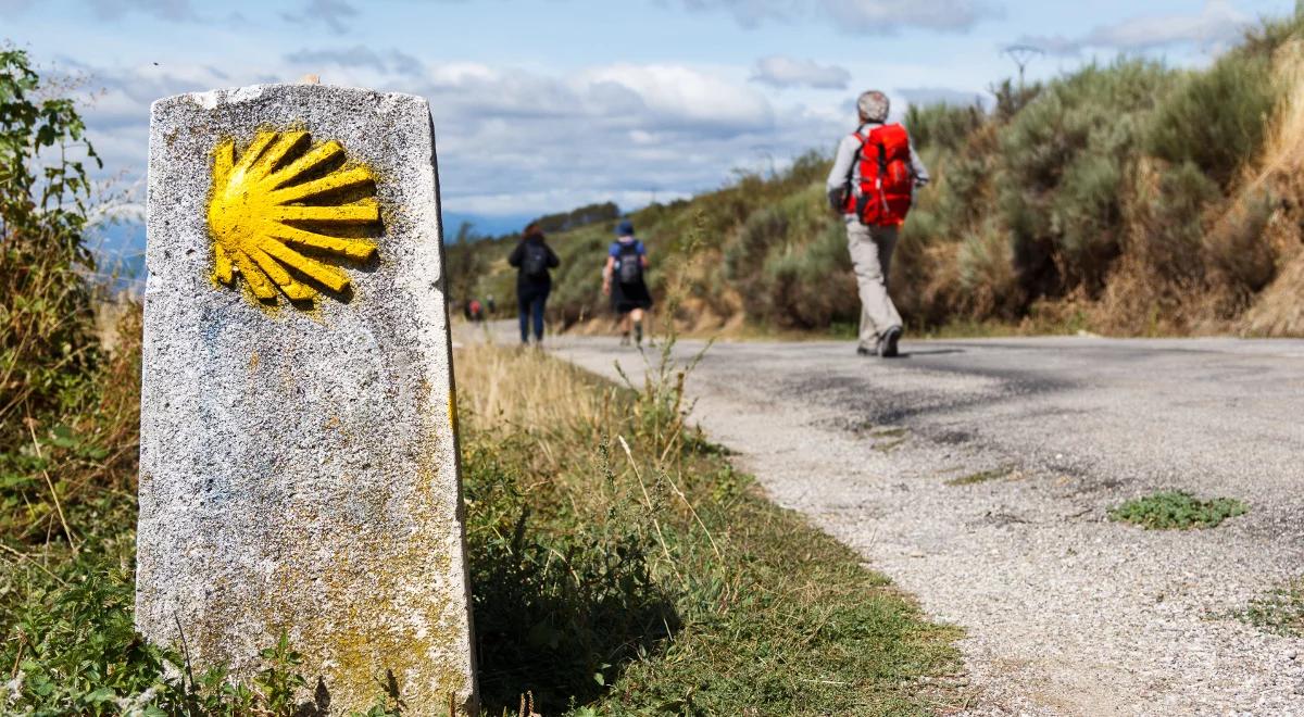 Co to znaczy "zapuszczać korzenie"? 