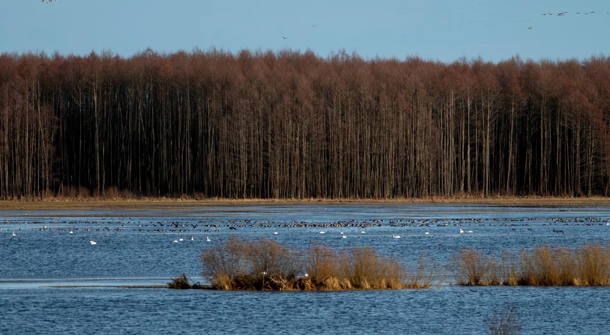 Rusza letnia edycja operacji "Czysta Rzeka 2021"
