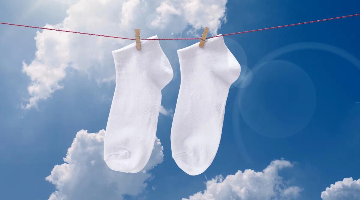 30 listopada to Dzień Białych Skarpetek. Jaka jest ich historia i rola we współczesnej modzie?