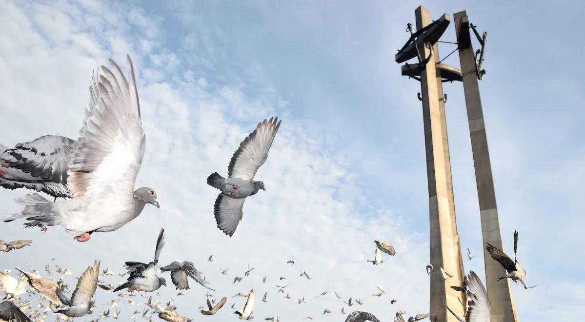 Sierpień '80 we Wrocławiu. "Nikt nie był wrogiem"