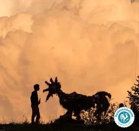 VI edycja Kazimiernikejszyn już 17-21 lipca w Kazimierzu Dolnym