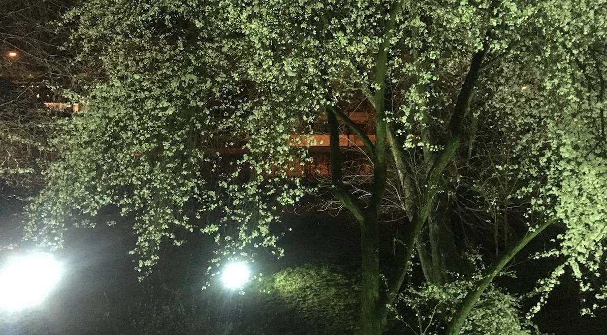 Jest czas milczenia i czas mówienia. "Trójka pod księżycem" na Wielki Piątek 