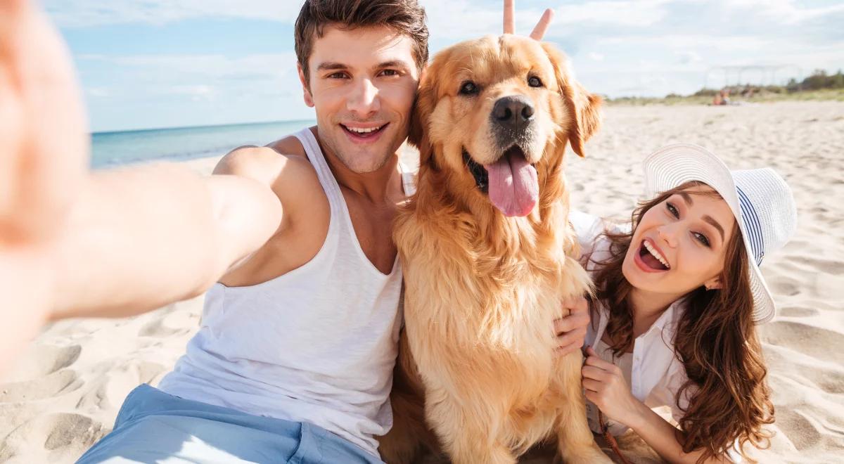 Wakacje, pies i my: co robić? Zabrać, zostawić ze znajomymi, oddać do hotelu?