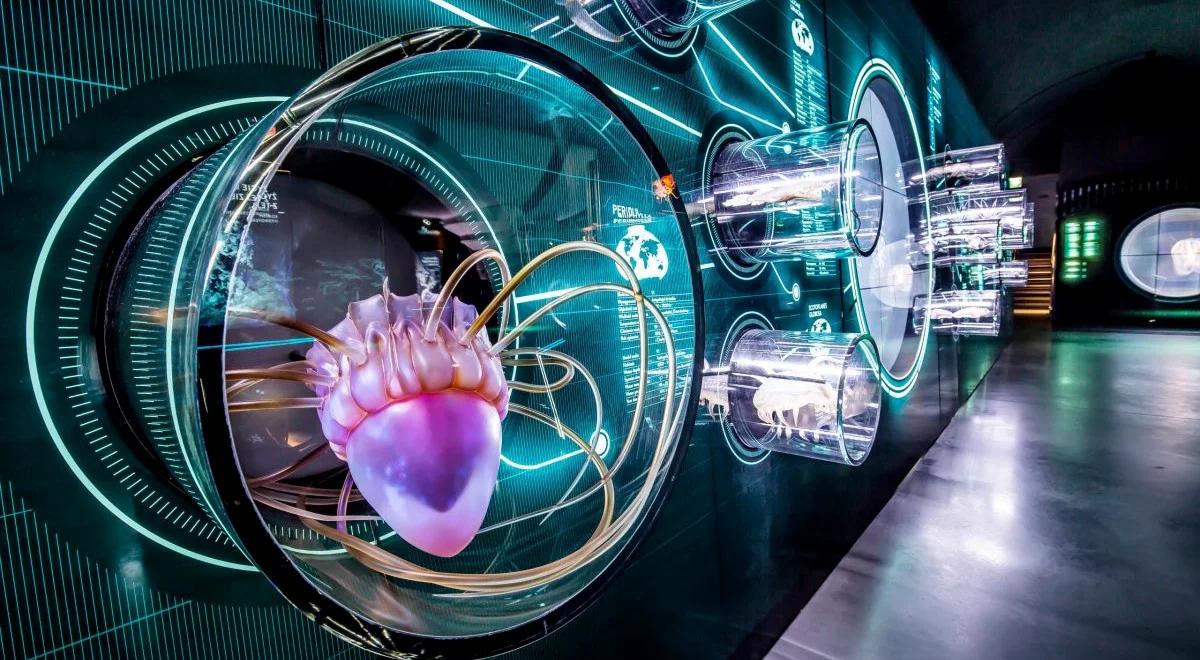 Gdzie wszystko się kręci wokół wody. Siódme urodziny CEE "Hydropolis"