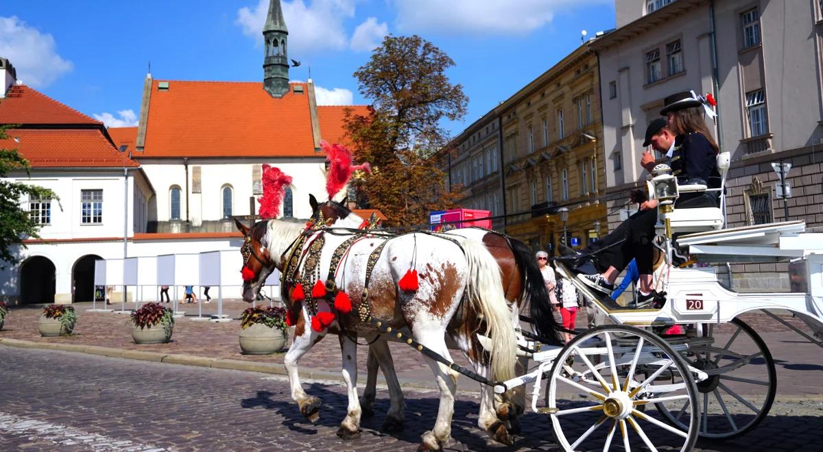 Ulga dla koni. Trwają testy dorożek z napędem hybrydowym 