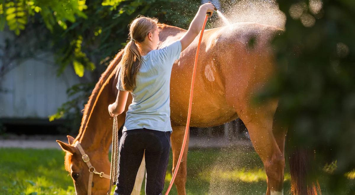 Magdalena Szmigiera. Opiekunka uratowanych koni