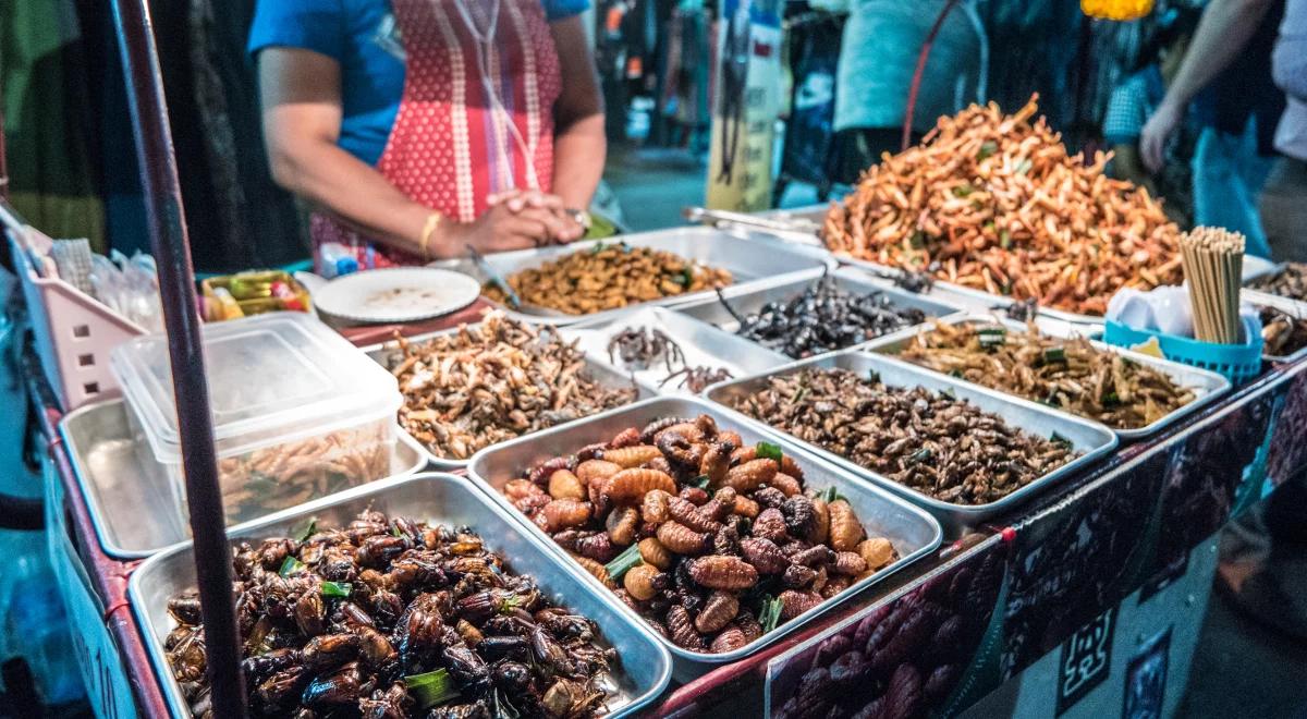 Między teraźniejszością a przyszłością