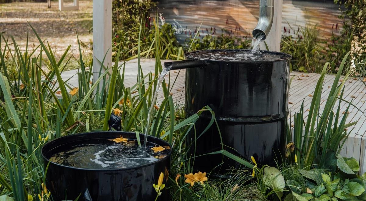 Twórzmy ogrody deszczowe