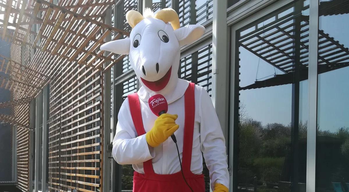 Miejsce, gdzie można wkroczyć do świata baśni