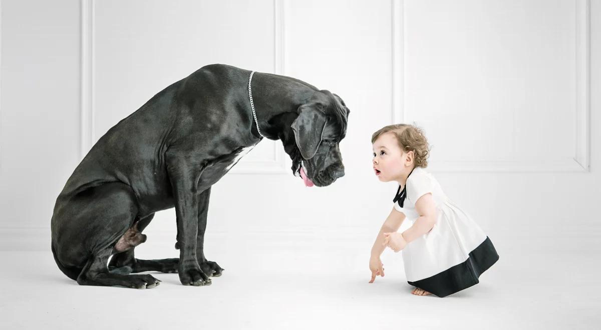 Zrozumieć naszego zwierzaka