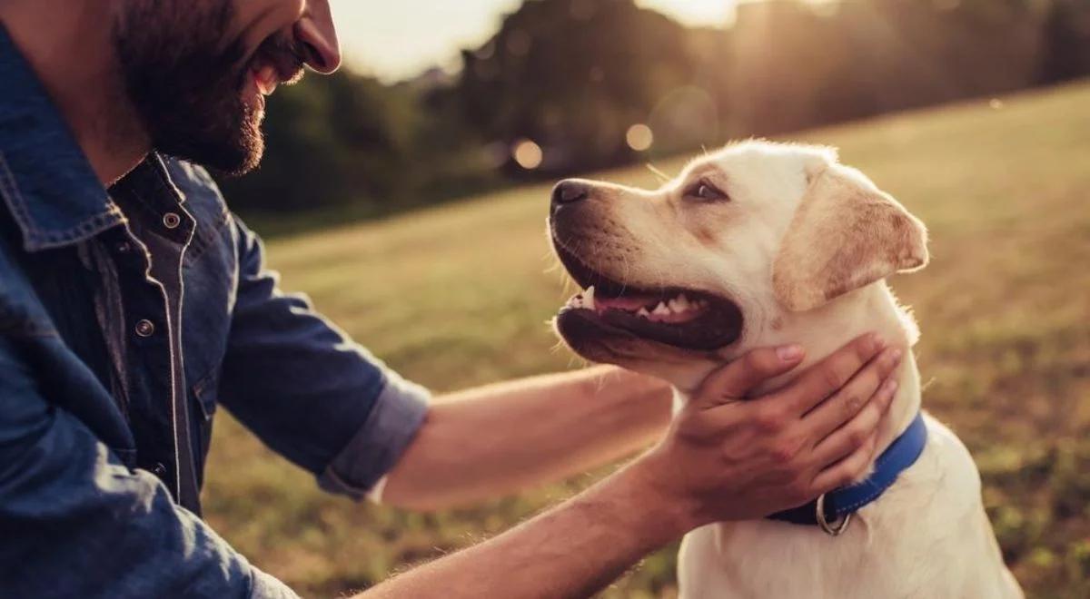Jak wygląda wzajemne postrzeganie się ludzi i zwierząt?