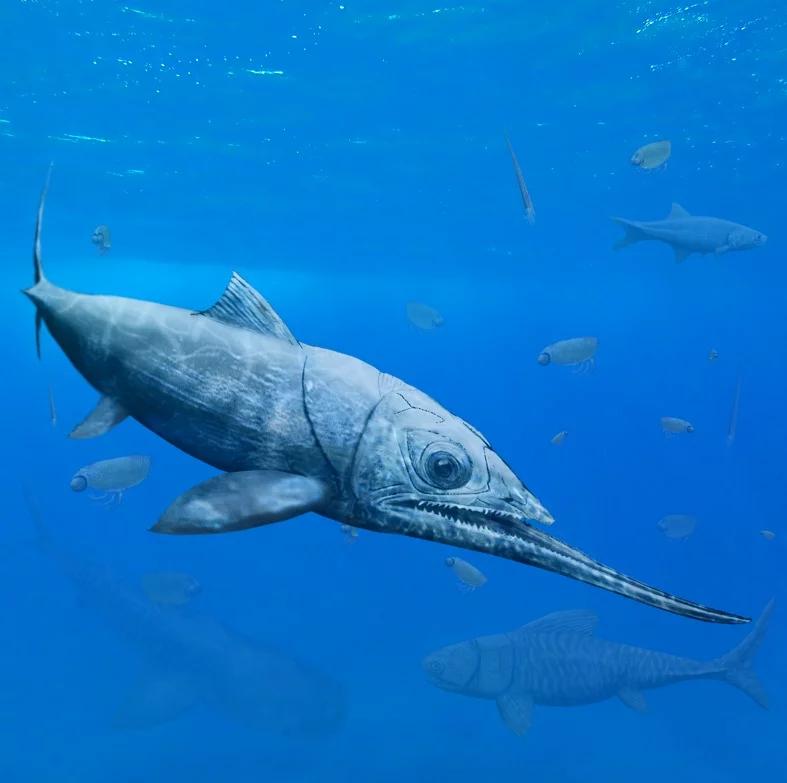 Szczątki drapieżnej, prehistorycznej ryby odkryto w świętokrzyskim