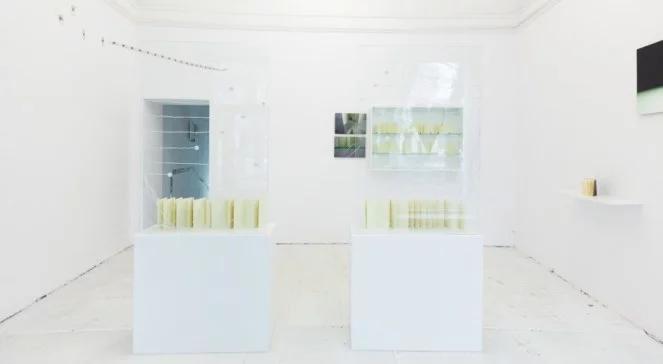 Anna Zaradny: moja twórczość jest hermetyczna