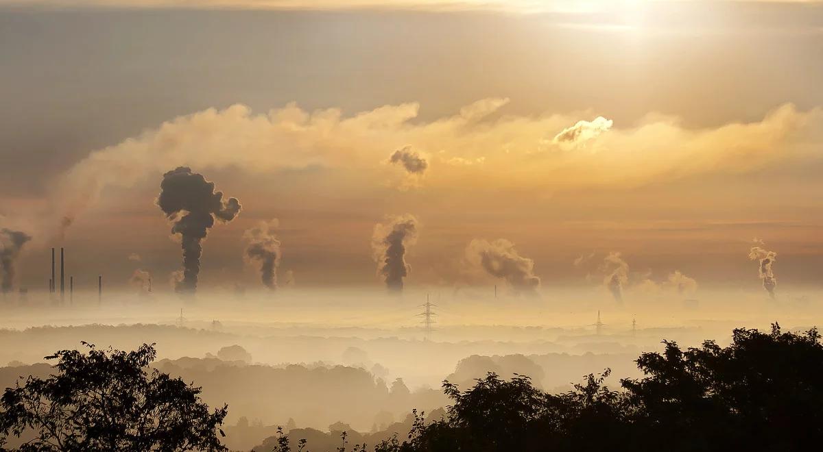 Smog to także polski problem