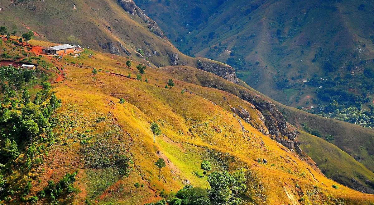 Polonia na Haiti. Europejscy biali murzyni