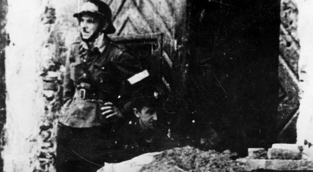 Profesor Aleks Szczerbiak: Brytyjczycy bardzo mało wiedzą o Powstaniu Warszawskim