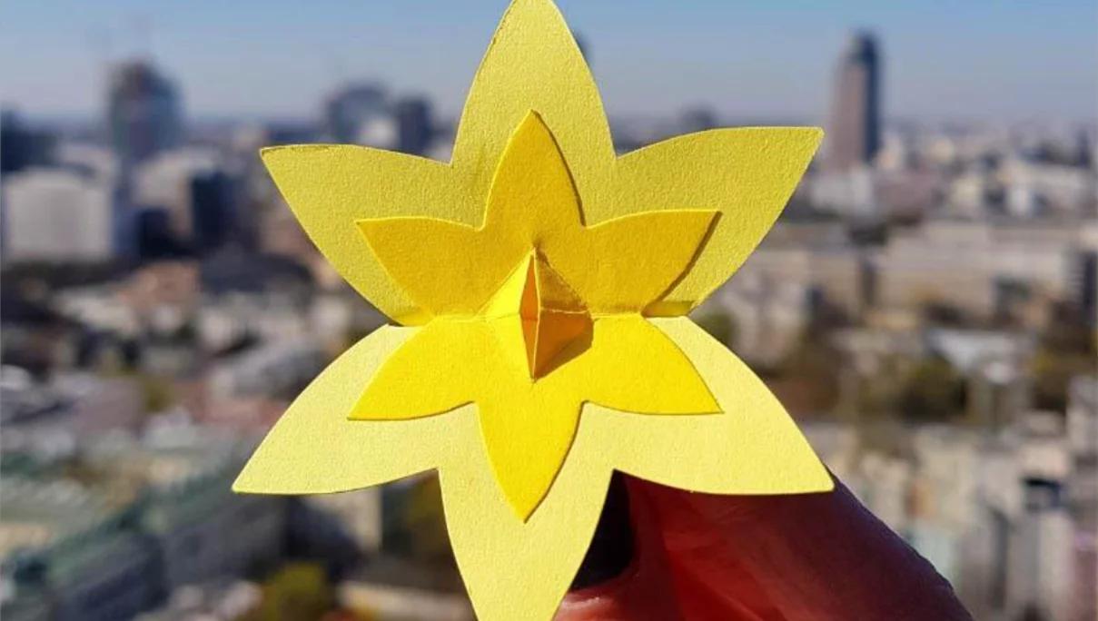 Żonkil – kwiat wiosny i nadziei [POSŁUCHAJ]