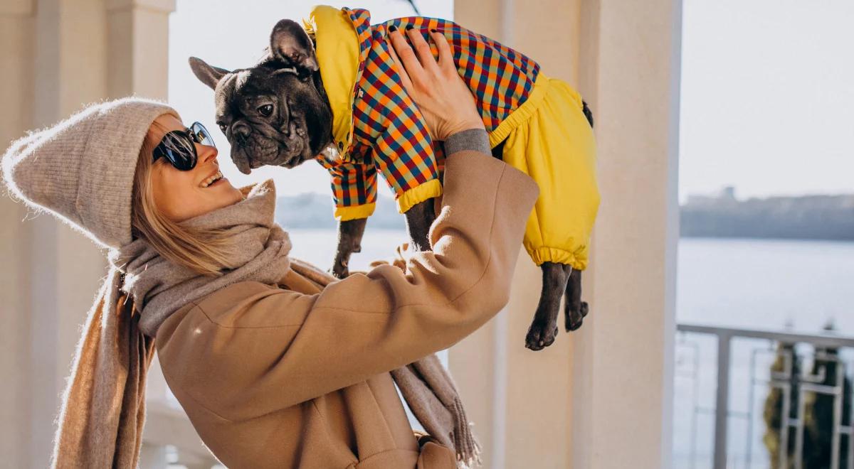 Już nie tylko obroża. Ubranka dla psa – potrzebne czy krzywdzące?