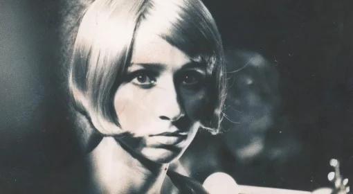 Historia "Andergrantu" Renaty Przemyk