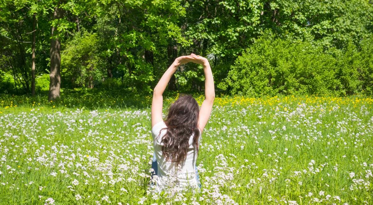 Ile potrzebujemy drzew, aby wyposażyć jednego człowieka w tlen?