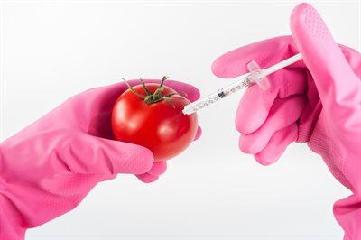 Znakowanie towarów „wolne od GMO” będzie dobrowolne