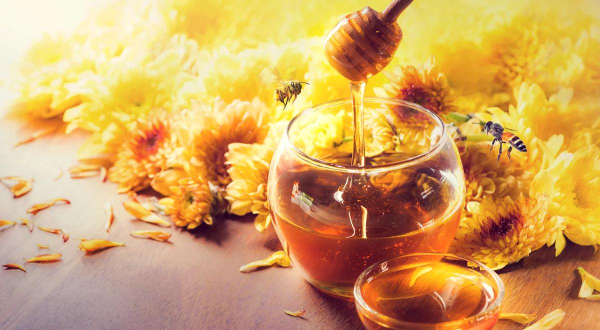 Spotkanie z pszczółkami. Miodowa Noc Muzeów