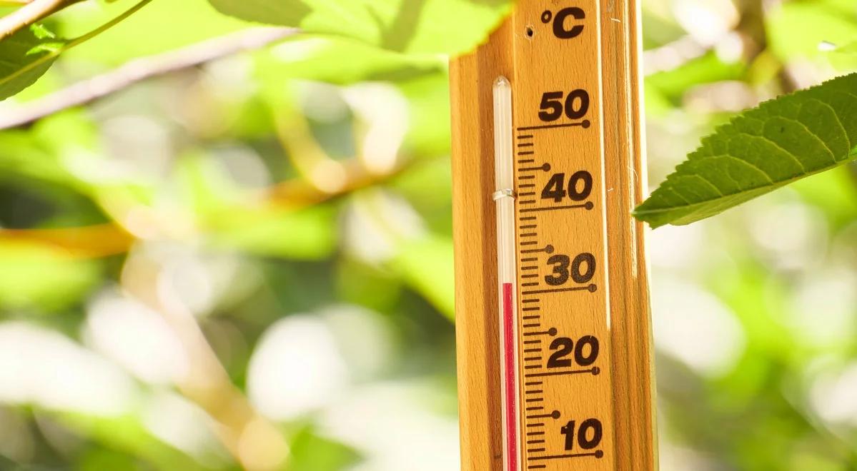 Ludowe porzekadła na temat pogody – czy się sprawdzają?